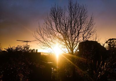 Silhouette trees against sky during sunset