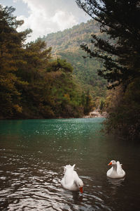 Scenic view of lake against mountain