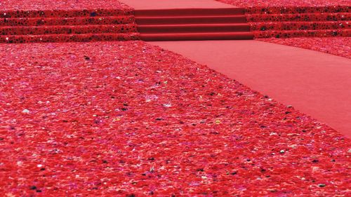 High angle view of red carpet