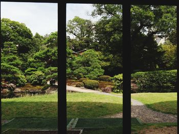 Trees in park