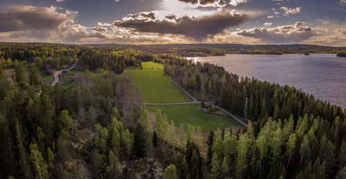 Panoramic shot of trees on landscape against sky