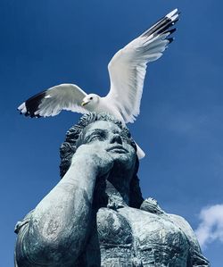 Low angle view of seagull flying against sky