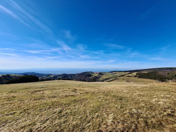 Scenic view of field against blue sky