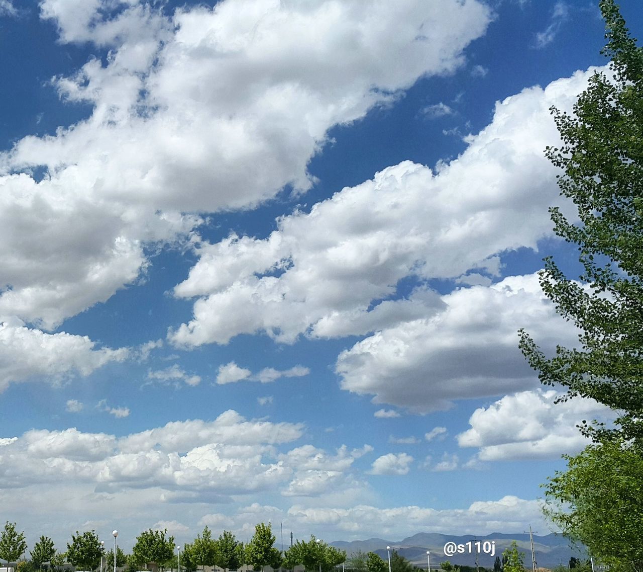 tree, sky, low angle view, cloud - sky, cloud, cloudy, nature, blue, beauty in nature, tranquility, growth, day, scenics, outdoors, built structure, no people, tranquil scene, high section, building exterior, architecture