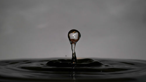 Close-up of water drop