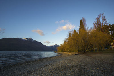 Scenic view of lake by trees against sky