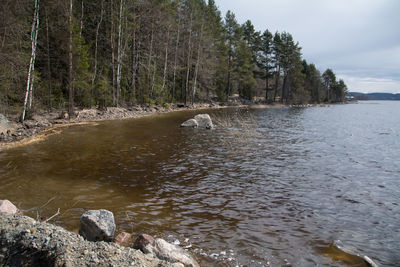 Scenic view of river in forest against sky