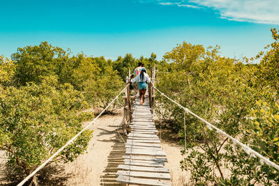 Tourists walking on the mangrove boardwalk at mida creek in watamu during low tide, malindi in kenya