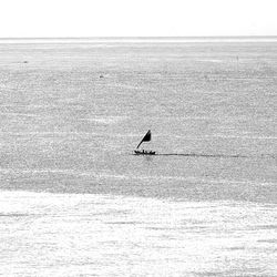 View of birds flying over sea against sky