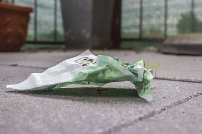 Close-up of crumpled banknote on footpath