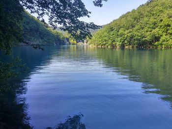 Reflection of trees in lake