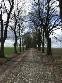 Road passing through trees