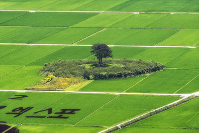 High angle view of green field