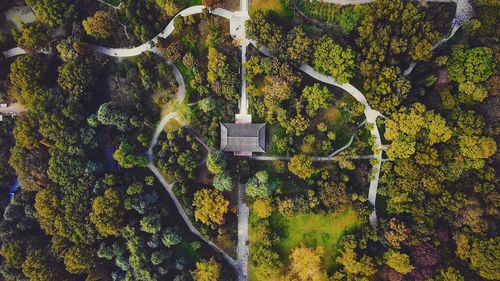 Information sign on tree in forest