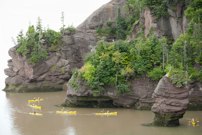 Scenic view of rock formation by trees against mountain