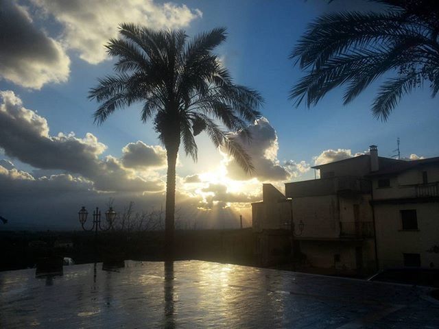 palm tree, tree, sky, silhouette, water, building exterior, sunset, built structure, architecture, sun, cloud - sky, reflection, sunlight, nature, cloud, tranquility, sea, beauty in nature, scenics, tranquil scene