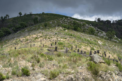 Scenic view of landscape against sky