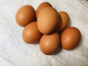 High angle view of eggs on table