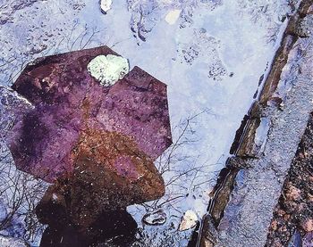 Reflection of water in puddle