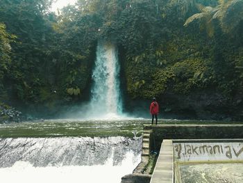 Rear view of man standing against waterfall