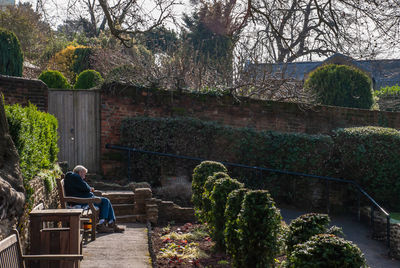 Rear view of woman sitting by plants against trees