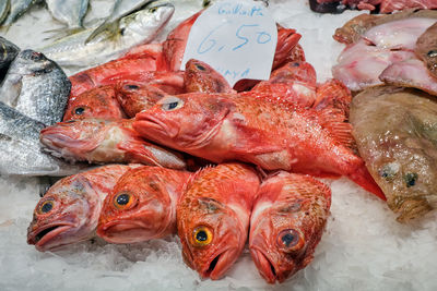 High angle view of seafood for sale in market