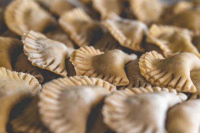 Rustical ravioli or tortellini. high quality photo