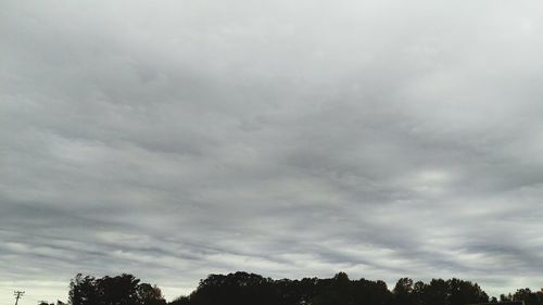 Low angle view of trees against cloudy sky