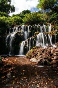 Waterfall in forest