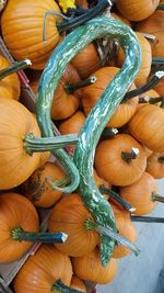 Full frame shot of pumpkins in market