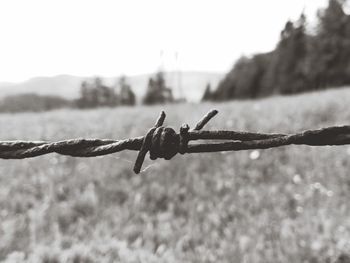 Close-up of barbed wire against sky