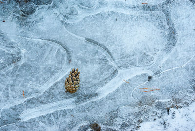 High angle view of frozen sea