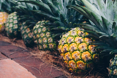 Close-up of fruits for sale in market