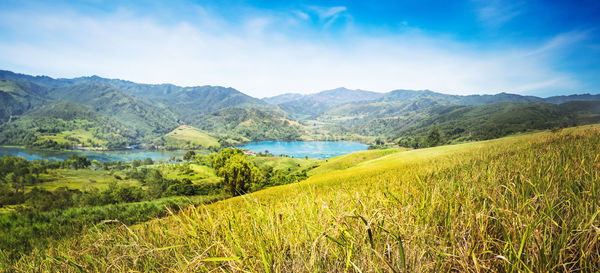 Scenic view of field against sky