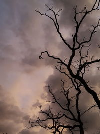 Low angle view of silhouette bare tree against sky