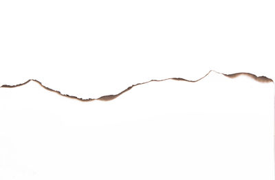 Close-up of barbed wire against white background