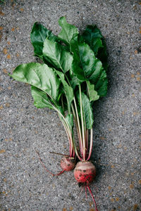 High angle view of vegetables