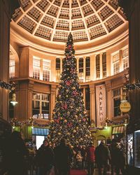 Illuminated christmas tree