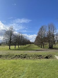 Bare trees on field against sky