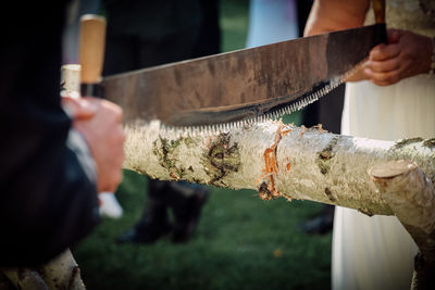 Midsection o people cutting tree trunk