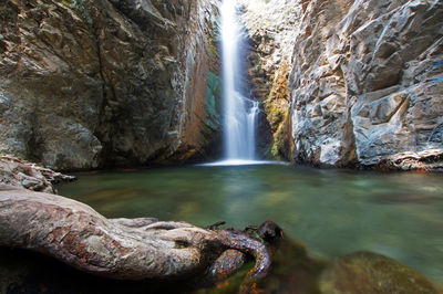 Scenic view of waterfall in forest