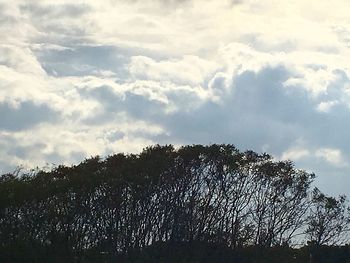 Low angle view of silhouette trees against sky