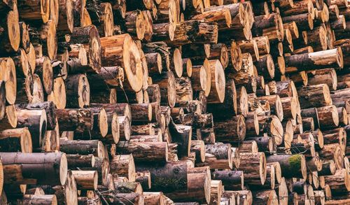 Full frame shot of firewood stack