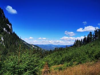 Scenic view of landscape against blue sky