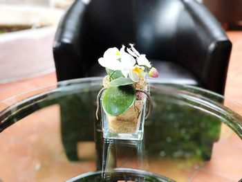 Close-up of rose on table