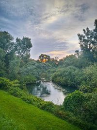View of river with trees in background