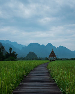 Surface level of boardwalk in grassy field against cloudy sky