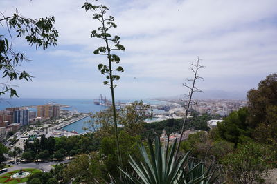 High angle view of trees and buildings against sky