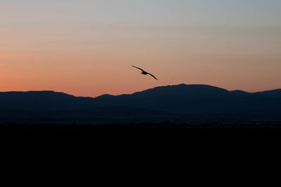 Silhouette bird flying over mountains against sky during sunset