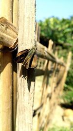 Close-up of wooden post on fence